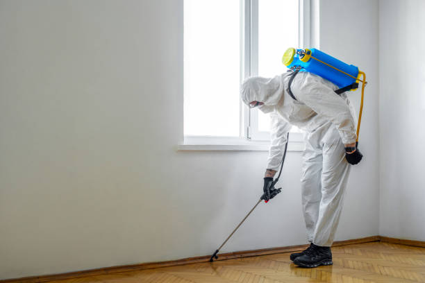 Best Organic or Eco-Friendly Pest Control  in Douglasville, GA